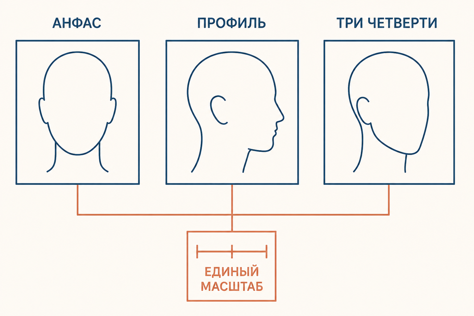 Схема сигналетической съёмки: анфас, правый профиль и три четверти при одинаковом свете