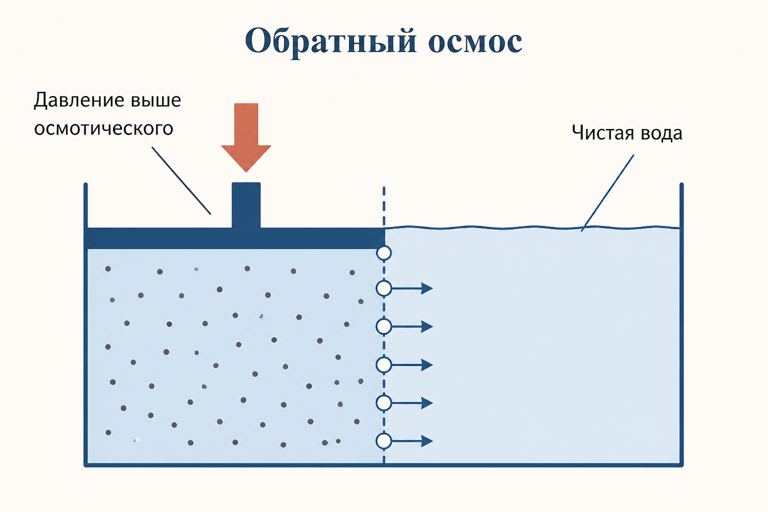 Обратный осмос: поршень давит на солёную воду, через мембрану проходит чистая вода