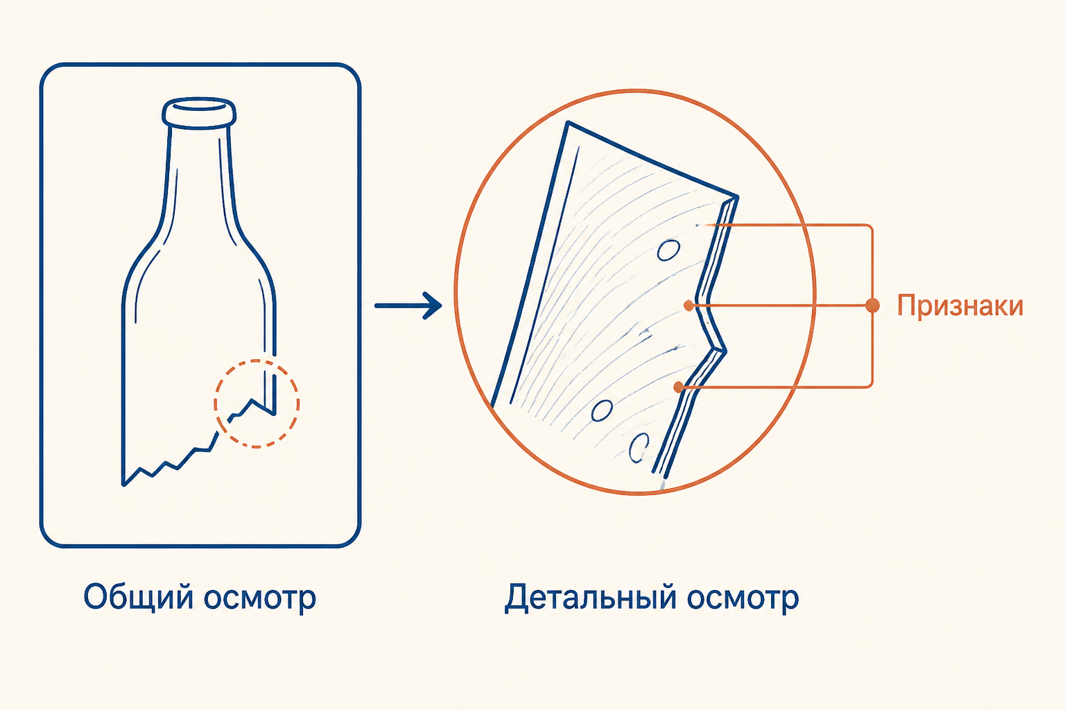 Общий и детальный этапы осмотра