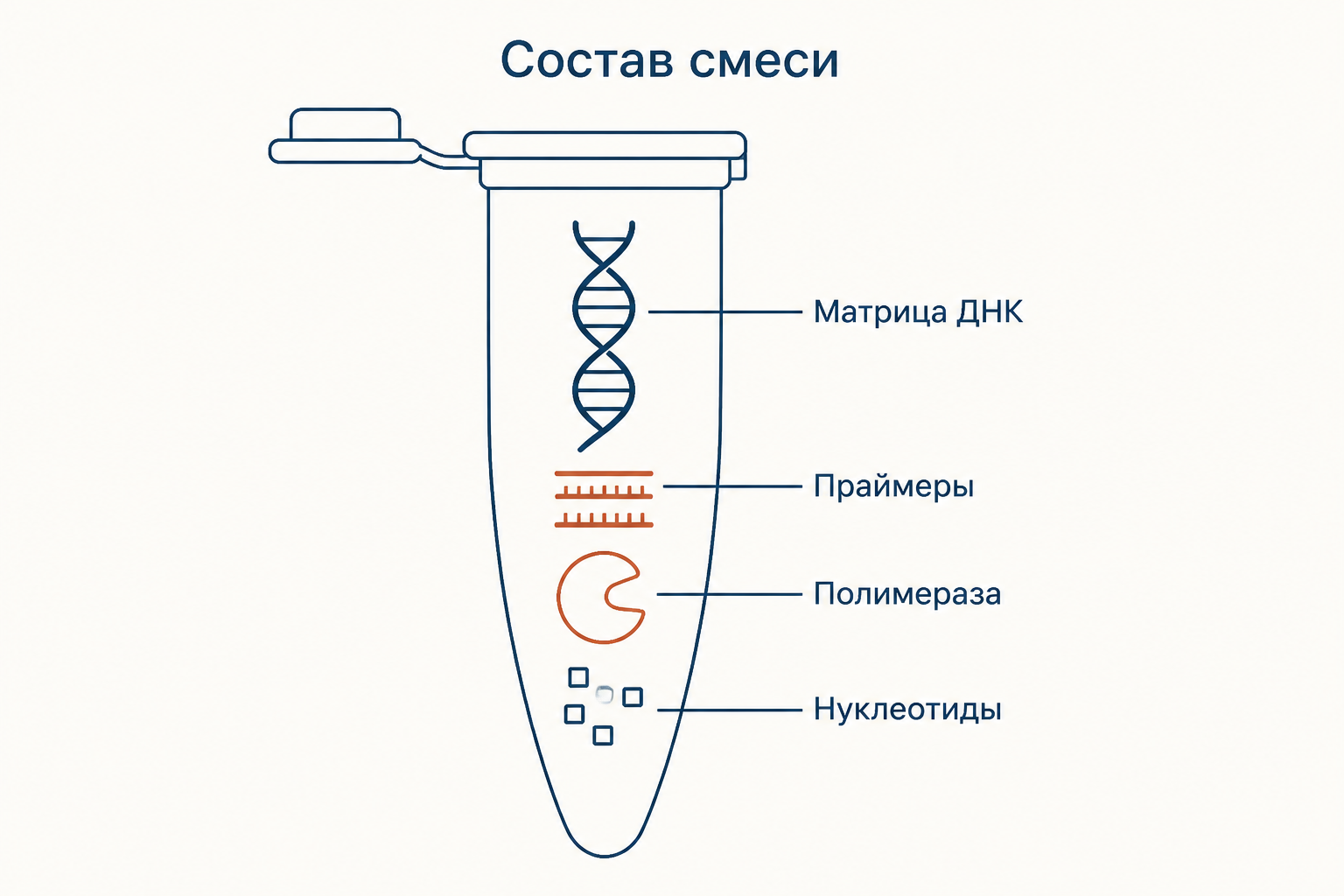 Схема реакционной смеси для ПЦР в пробирке: матрица ДНК, два праймера, термостабильная полимераза и запас нуклеотидов, подписанные по отдельности