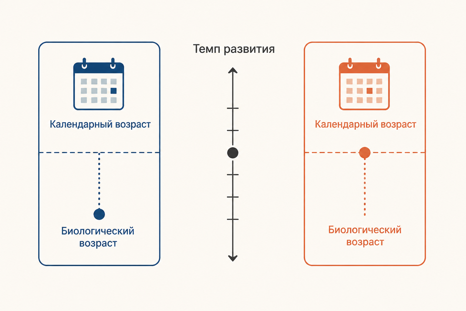 Один календарный возраст может сопровождаться разным темпом биологического развития