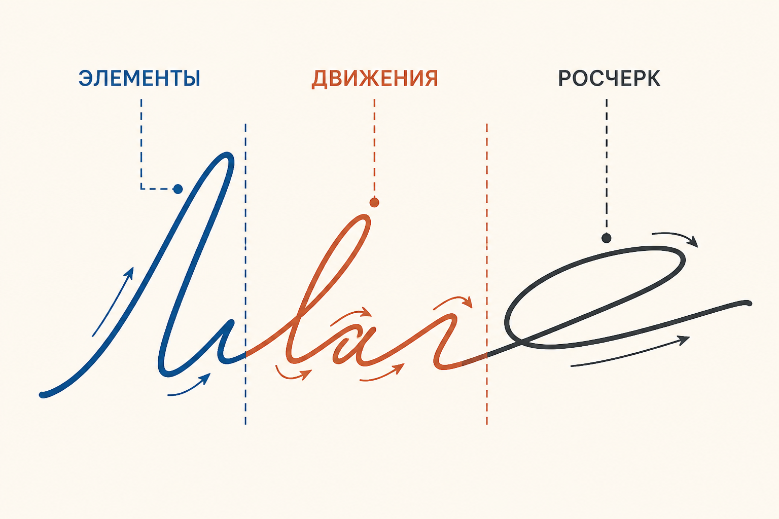 Схема элементов подписи и направлений движений