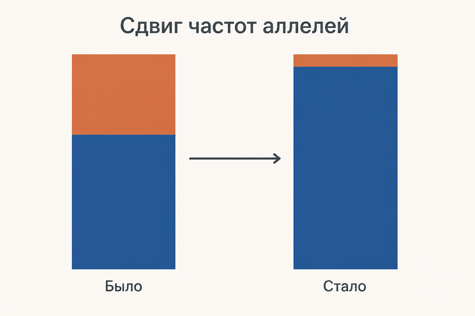 Две колонки долей аллелей до и после отбора: тёмная часть столбика заметно вырастает, светлая сокращается