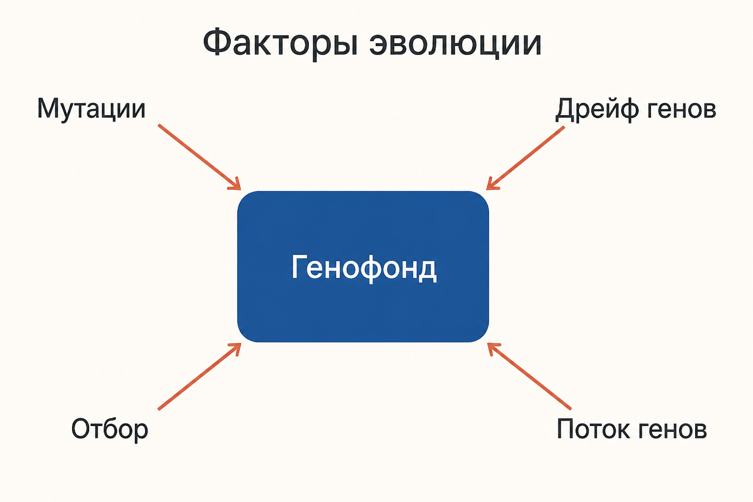 Схема четырёх стрелок к общему полю генофонда с подписями мутаций, дрейфа, отбора и потока генов