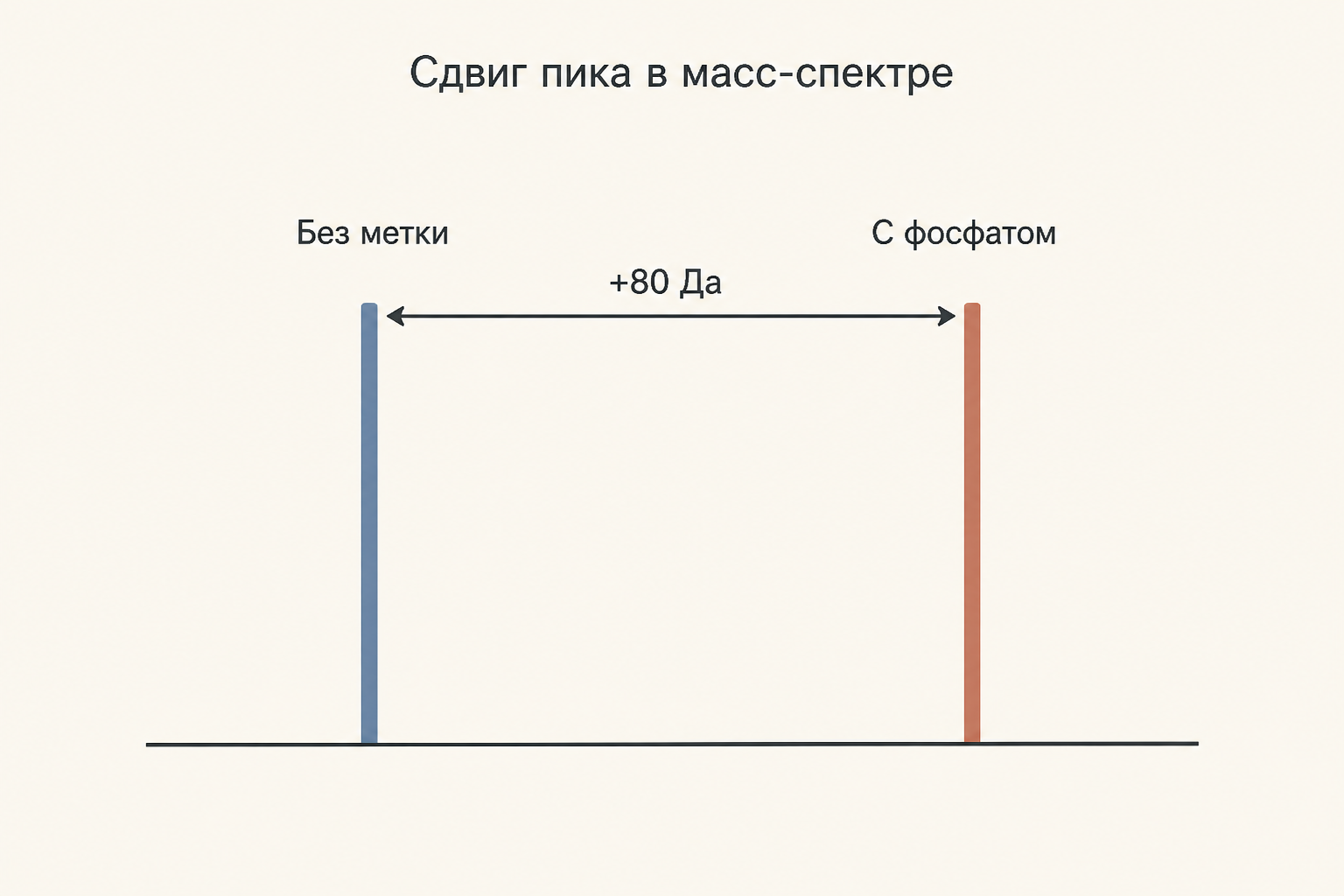 Схема масс-спектра: пик немодифицированного пептида и смещённый вправо пик того же пептида с фосфатной группой, расстояние между пиками равно массе метки