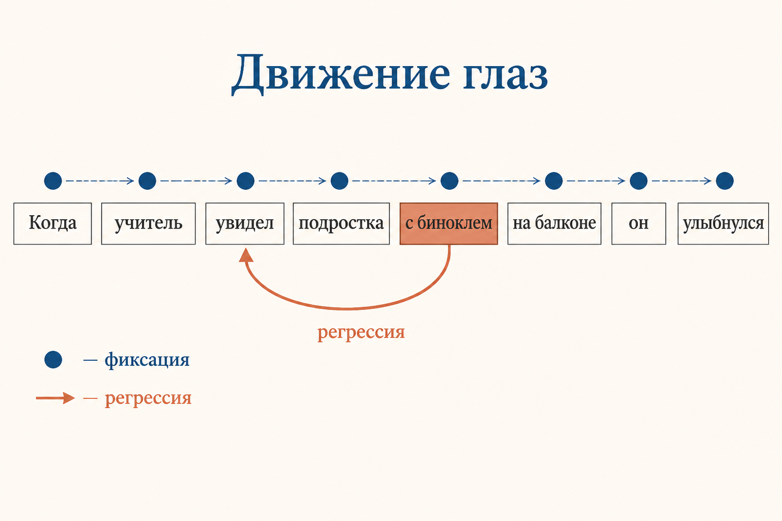 Айтрекинг при чтении: фиксации идут по словам, а после разрешающего слова появляется регрессия к неоднозначному фрагменту