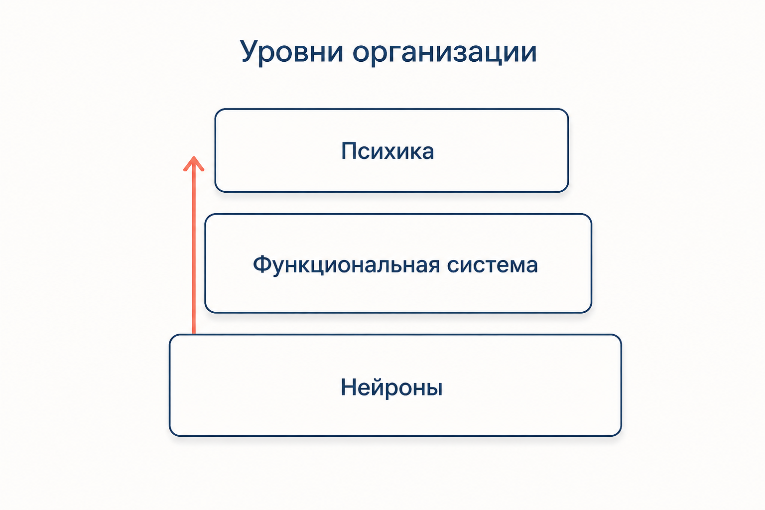 Уровневая модель: нейронный уровень, функциональная система и психическое как системное качество