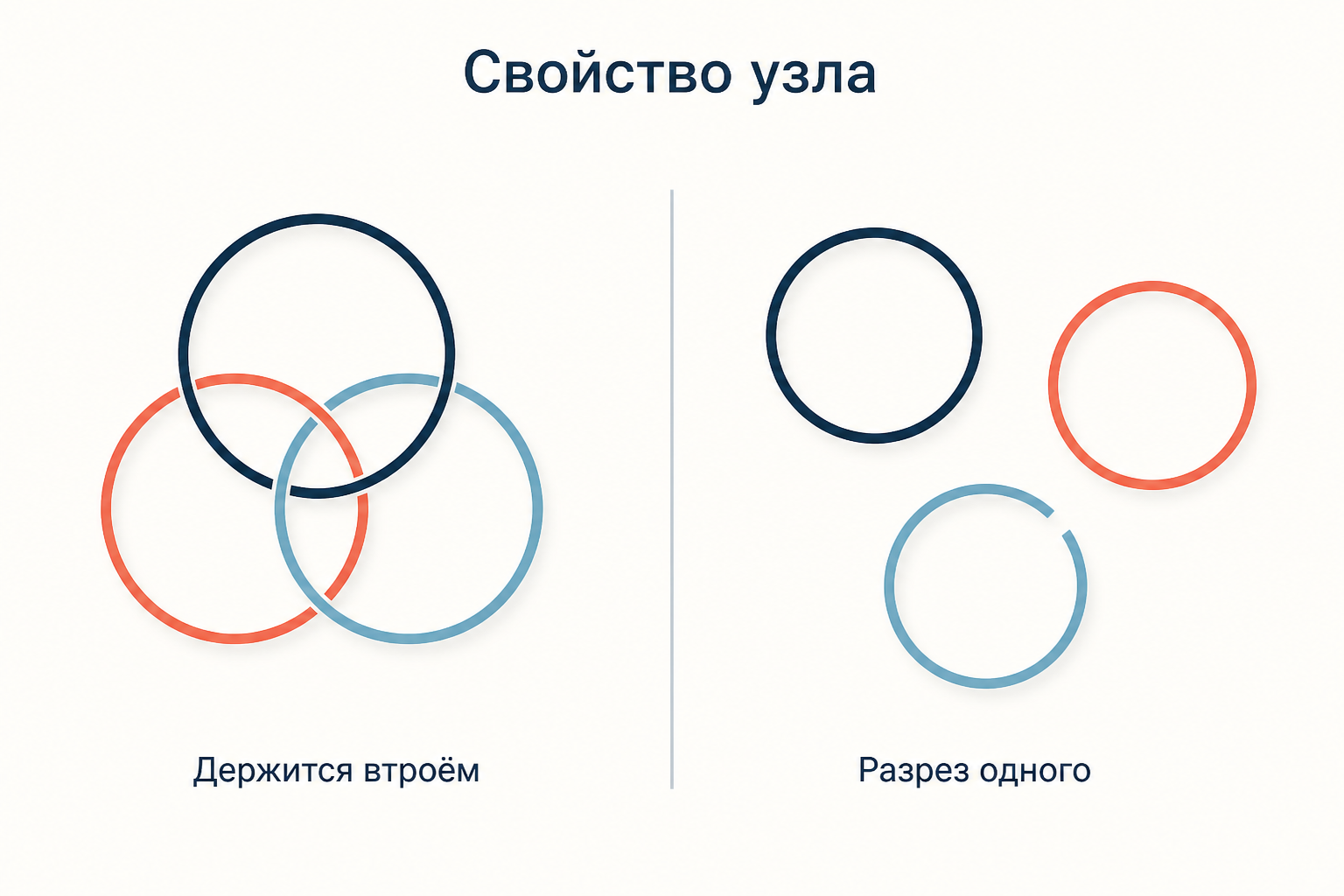 Свойство борромеева узла: три сцепленных кольца и распад связки после разреза одного из них