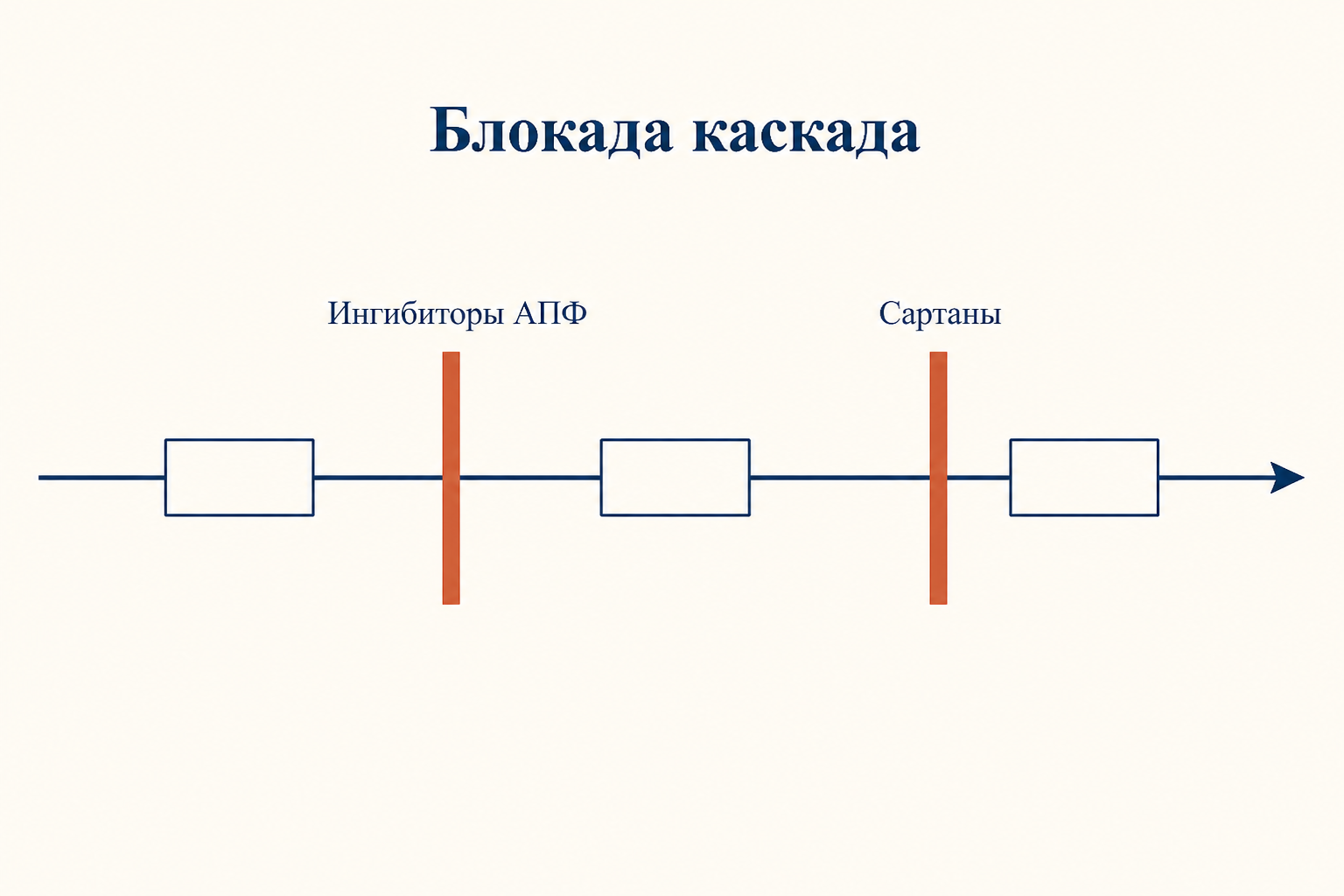 Линейная схема каскада с двумя точками блокады: ингибиторы АПФ и сартаны
