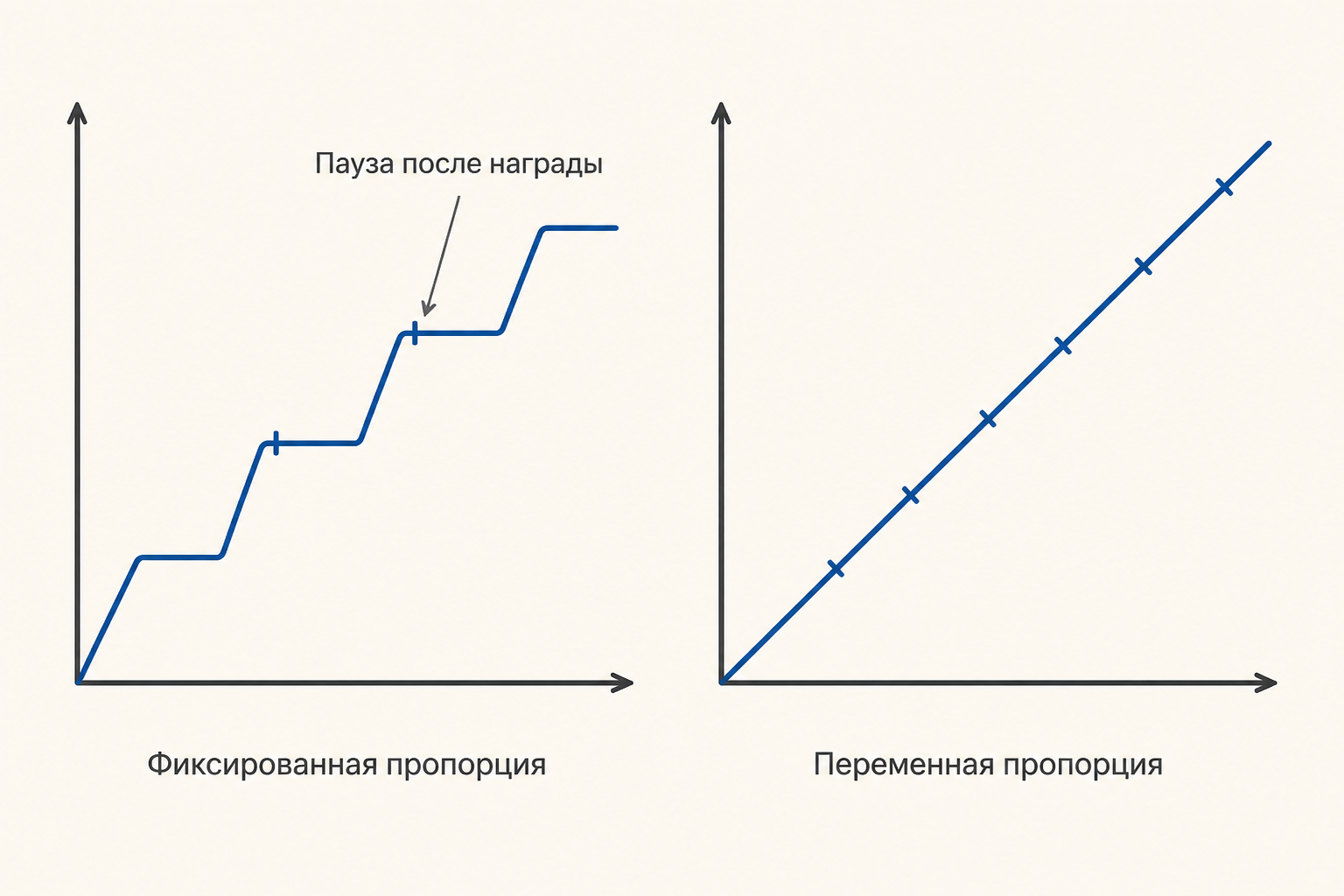 Кумулятивные кривые двух пропорциональных режимов: ступеньки с паузами после награды у фиксированной пропорции и сплошной подъём у переменной