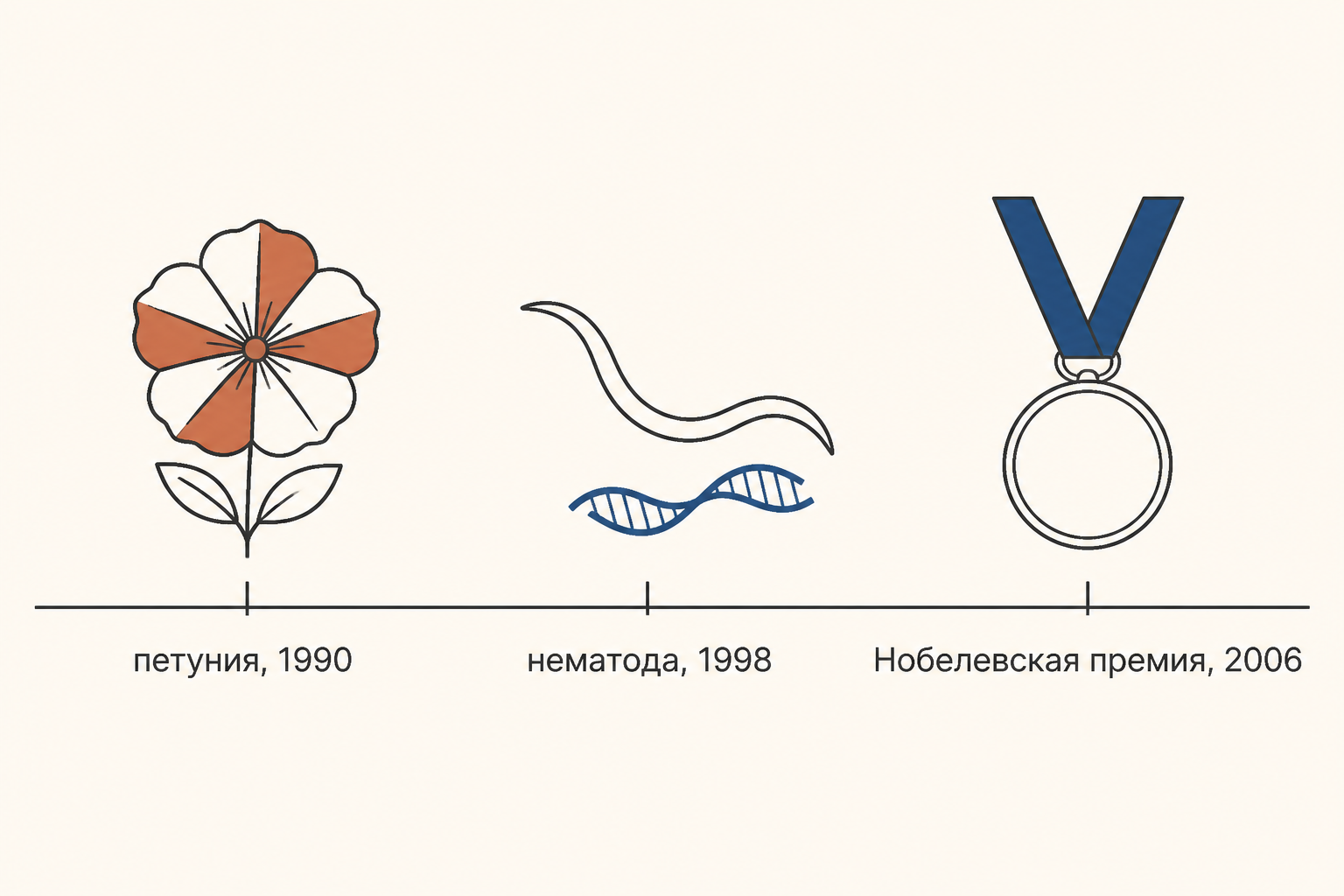 Линия времени открытия: пёстрая петуния 1990 года, нематода с двуцепочечной РНК 1998 года и Нобелевская премия 2006 года