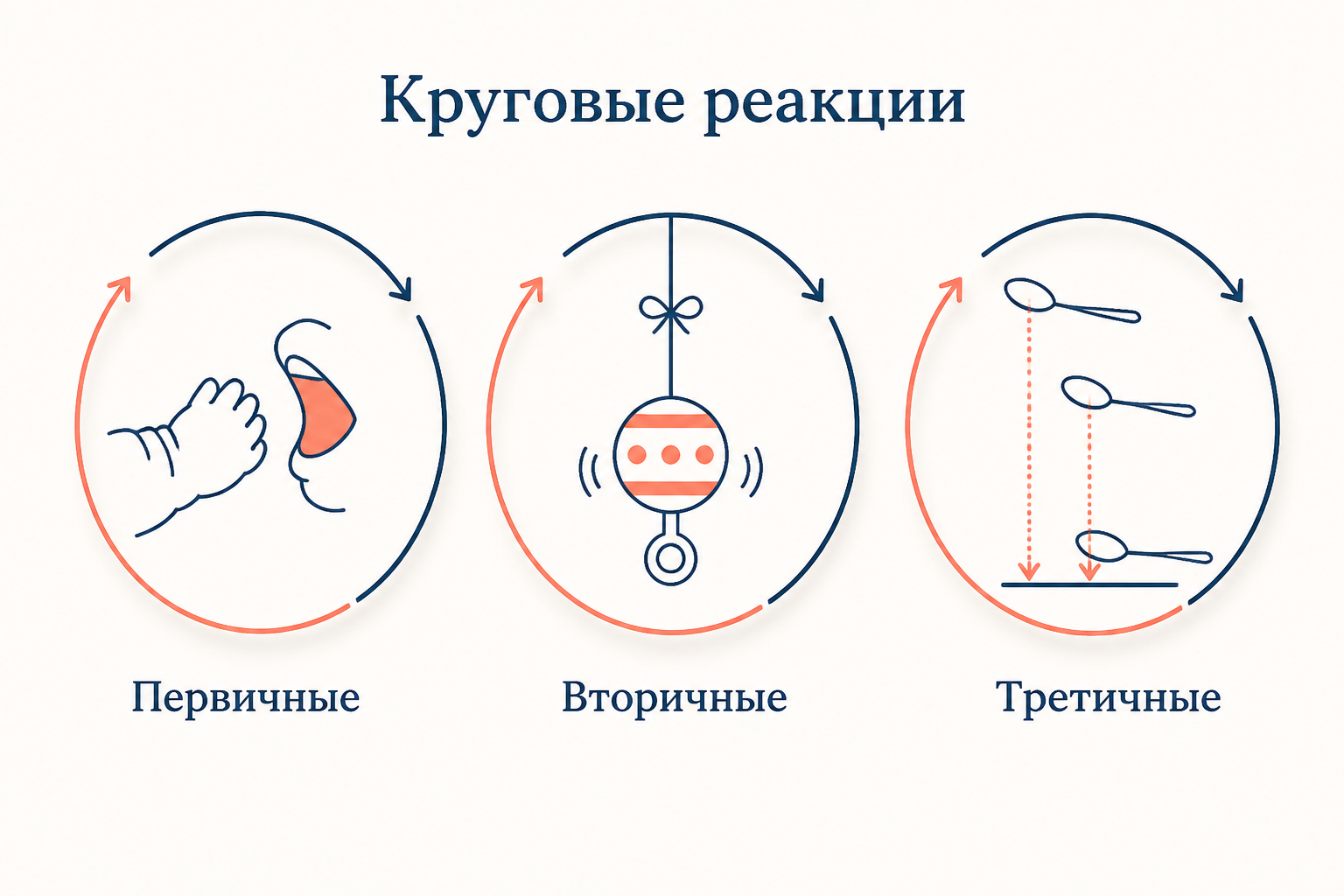 Три типа круговых реакций по Пиаже: первичная замкнута на собственном теле, вторичная на внешнем предмете, третичная варьирует действие ради нового результата