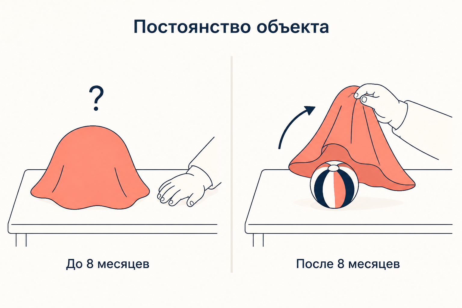 Постоянство объекта: до восьми месяцев исчезнувшая под платком игрушка перестаёт существовать, после ребёнок снимает платок и достаёт её