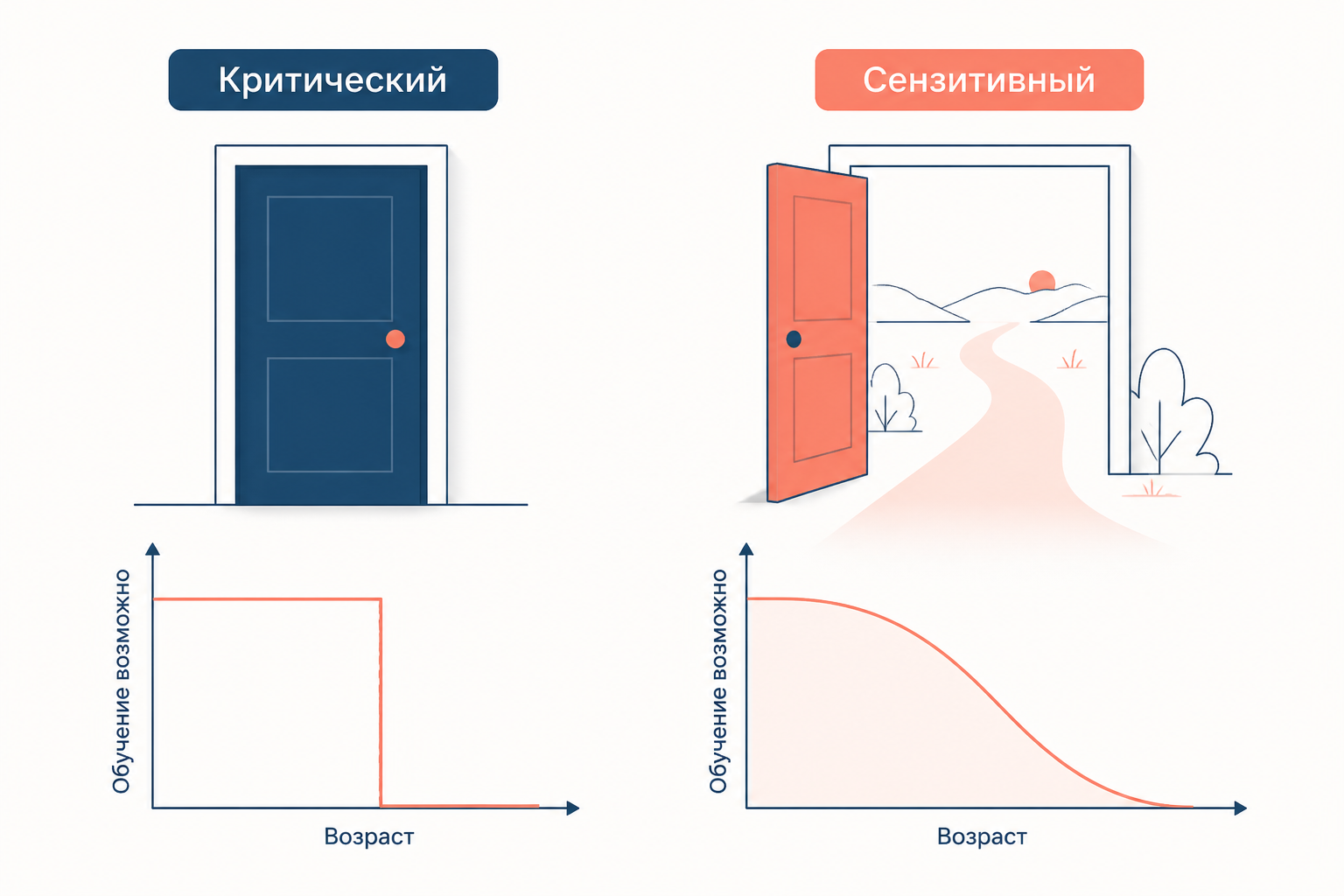 Схема мягкого окна: внимание ребёнка к опыту усиливается, достигает пика и постепенно снижается; рядом остаётся путь обучения после окна