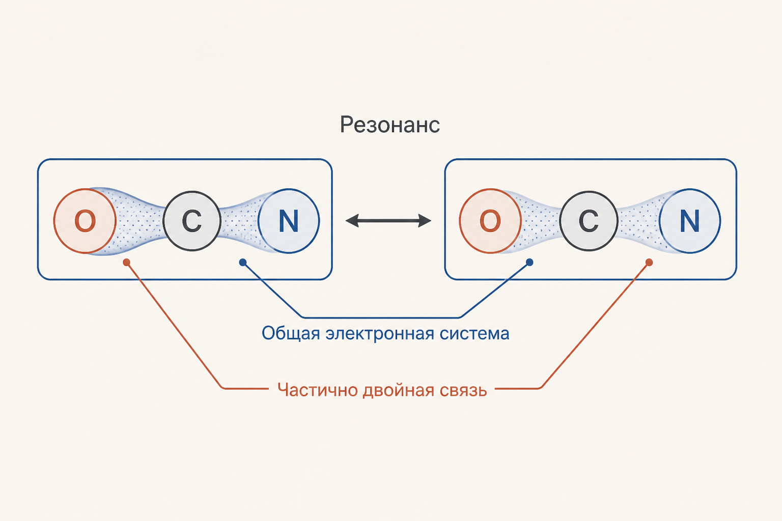 Схема резонанса пептидной группы: общая электронная система O-C-N придаёт связи C-N частично двойной характер