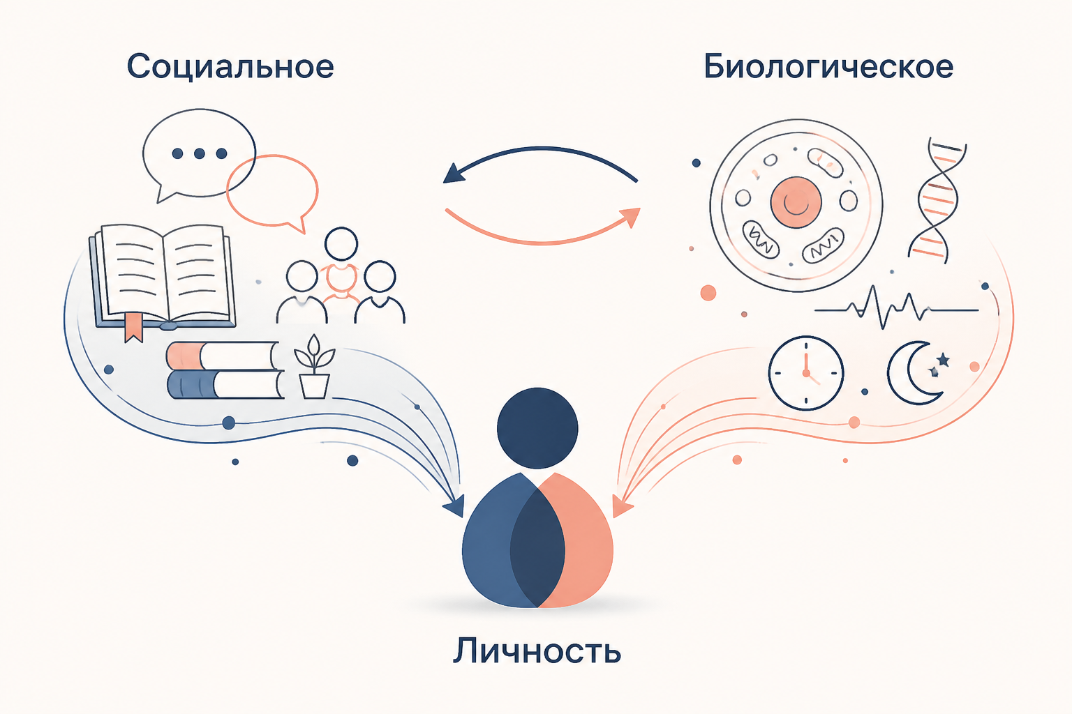 Взаимодействие социального и биологического в формировании личности