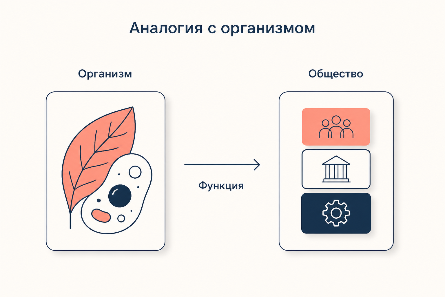 Аналогия с организмом: специализированные части живого целого и институты общества, каждый со своей функцией