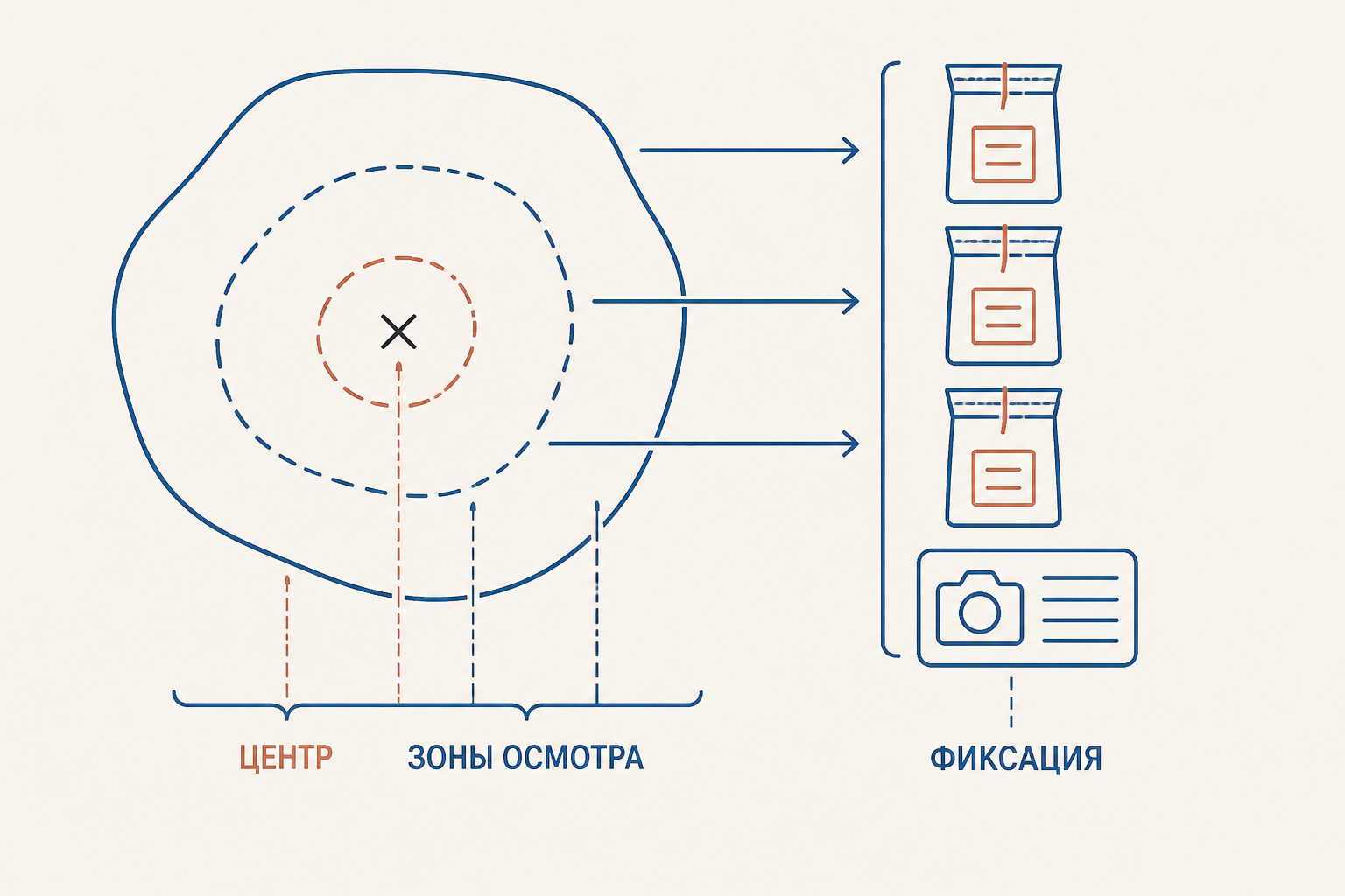 Схема осмотра показывает центр, зоны и фиксацию объектов