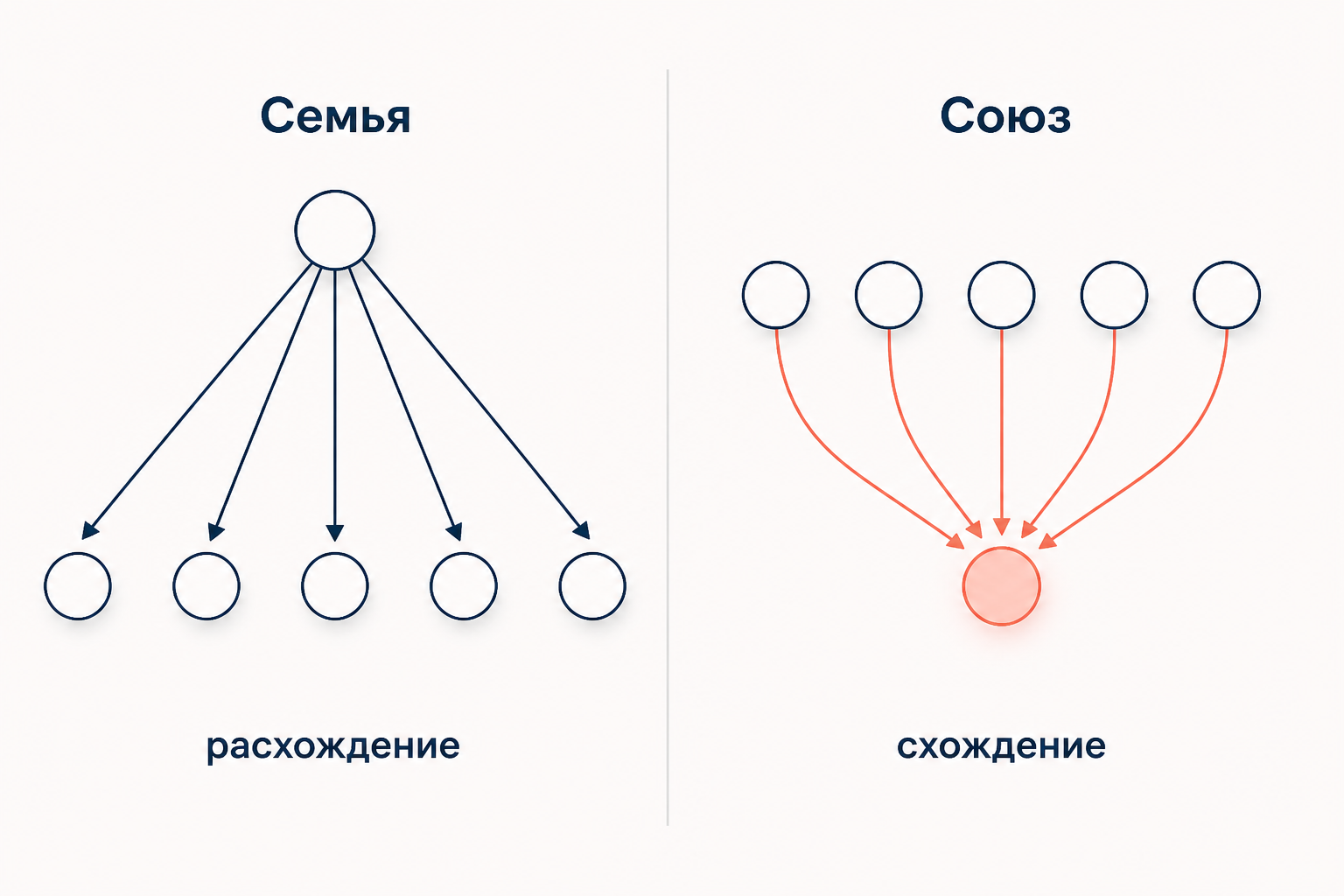 Сопоставление двух моделей: языковая семья расходится от общего предка, языковой союз сходится из разных источников.