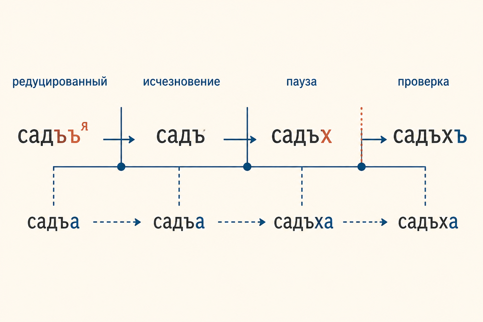 Историческая цепочка: конечный редуцированный исчезает, согласный оказывается перед паузой и оглушается; проверочная форма возвращает гласный после согласного