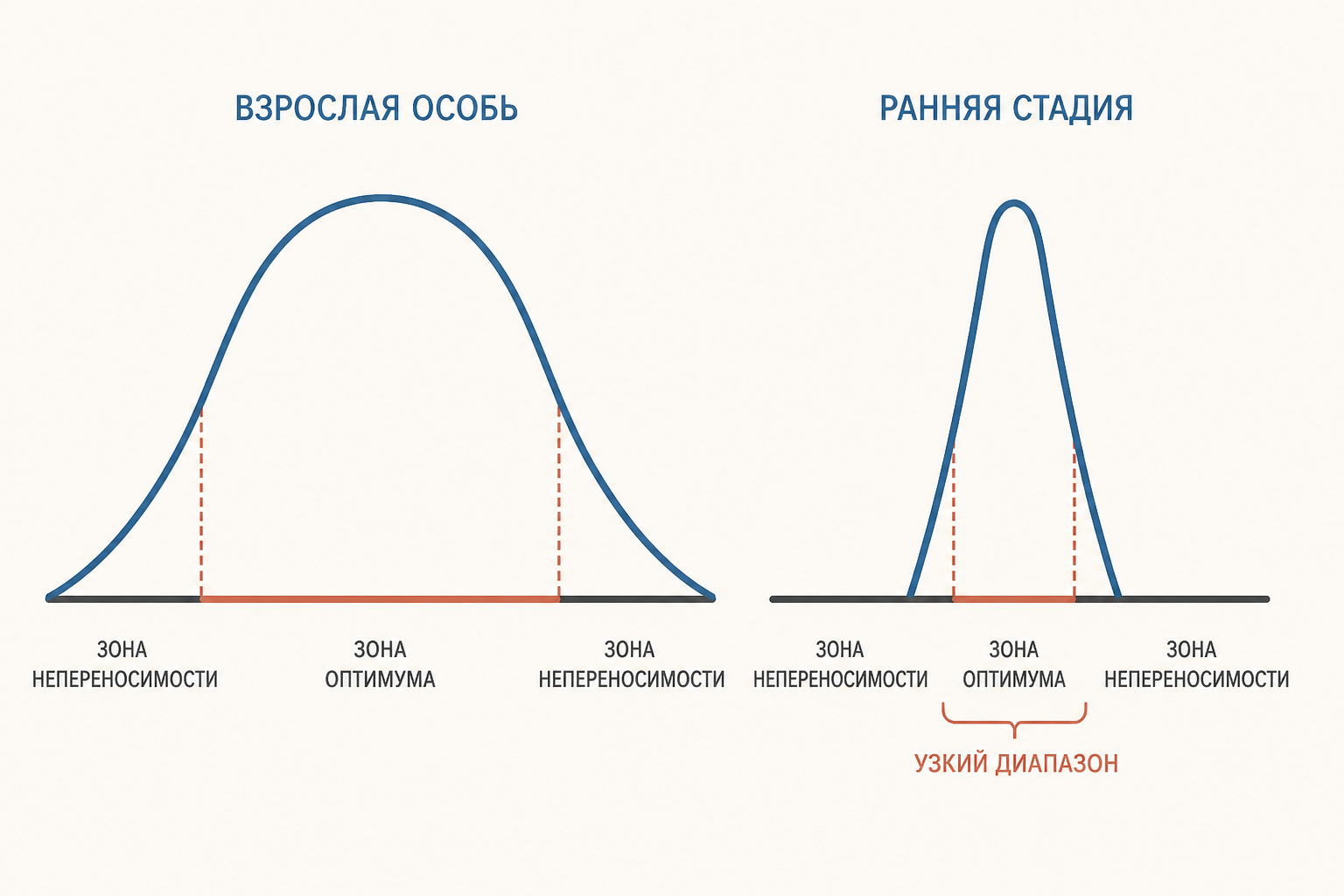 Ранняя стадия развития может иметь более узкий диапазон толерантности, чем взрослая особь