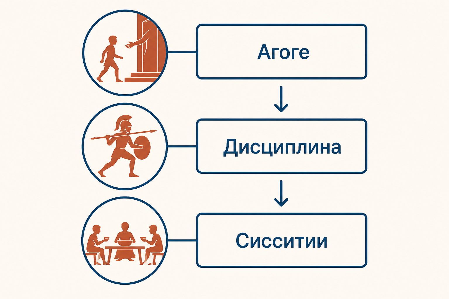 Учебная схема агоге и сисситий: возрастные группы, военная дисциплина и общая трапеза