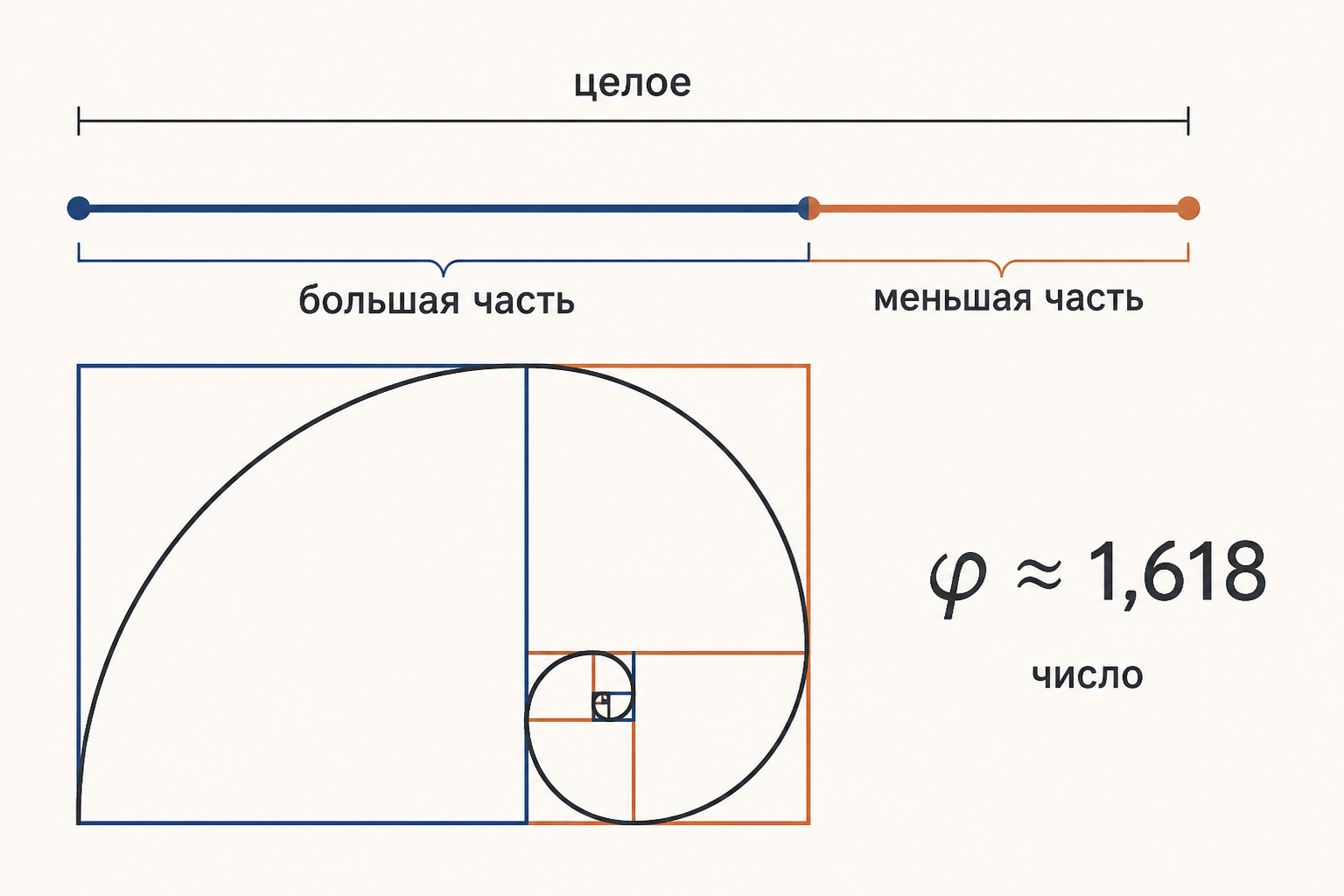 Схема золотого сечения: целый отрезок разделён на большую и меньшую части, рядом показаны золотой прямоугольник и спираль